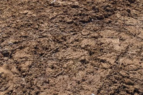 Texture and full-frame background of natural manure Stock Photos