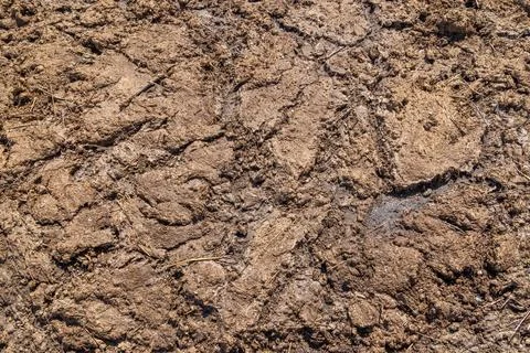 Texture and full-frame background of natural manure Stock Photos