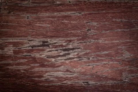 Texture and pattern of old  log Stock Photos