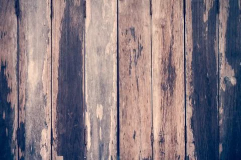 Texture and pattern of old  log Stock Photos