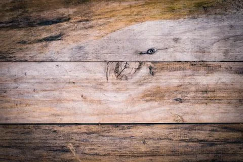 Texture and pattern of old  log Foto stock