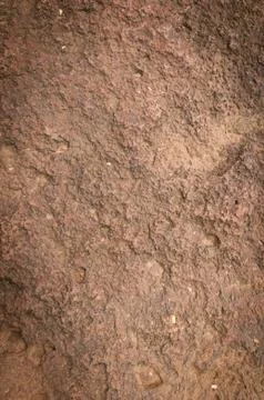 Texture and pattern of  stone Stock Photos