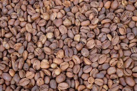 Texture and surface pattern of coffee beans Stock Photos