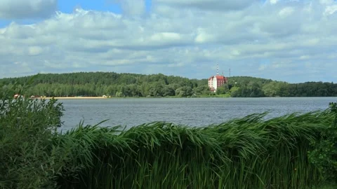 Texture and surface of water, reflections in water, river and sea Stock Footage 290208900