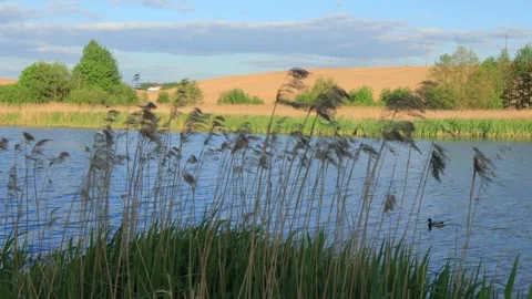 Texture and surface of water, reflections in water, river and sea Stock Footage 290209691