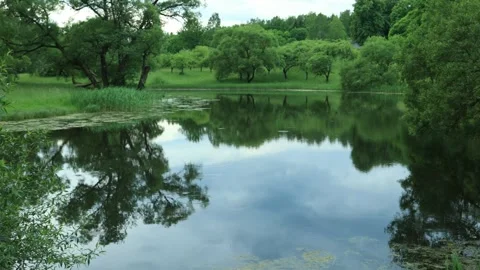 Texture and surface of water, reflections in water, river and sea Stock Footage 290210981