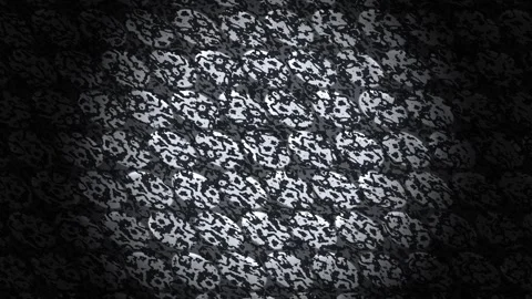 Texture of animal print pattern on dark surface with light Stock Footage 338225930