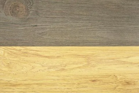 Texture annual ring two tone wood background Stock Photos