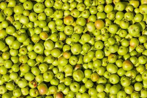 Texture with apples Stock-Fotos