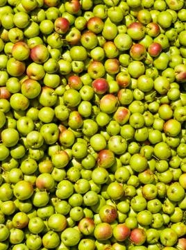 Texture with apples Stock-Fotos