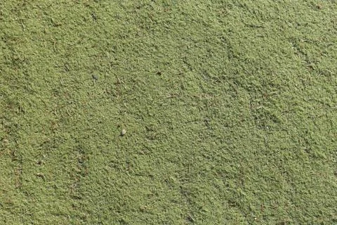Texture of artificial grass 写真素材
