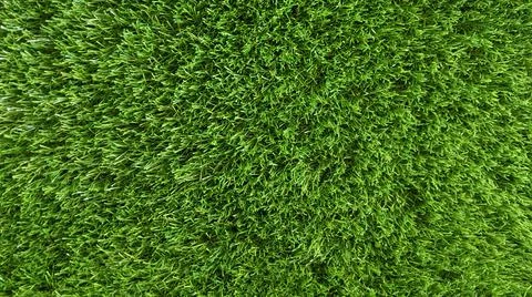The texture of artificial green grass and lawn. Fresh green grass background. Stock Photos
