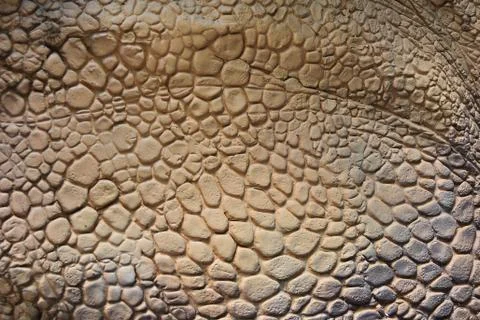 Texture of artificial scales Stock Photos