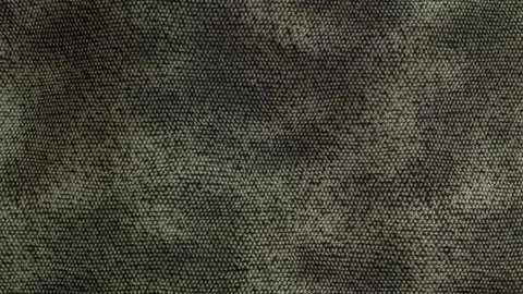 Texture Of Artificial Snake Skin Stock Footage 254583194