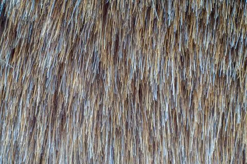 Texture of artificial synthetic soft fur closeup Stock Photos