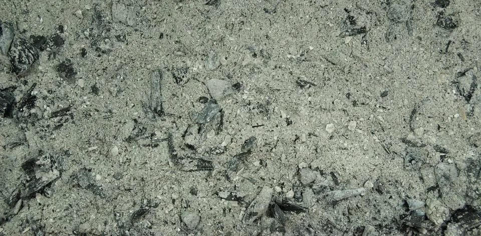 Texture of ash from a fire Stock Photos