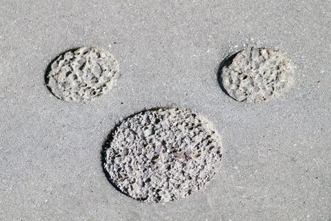 The texture of the asphalt in the form of a mouse face Stock Photos