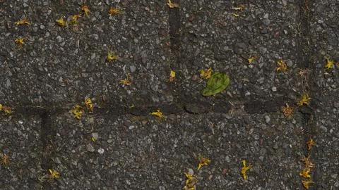 Texture of asphalt Stock Photos