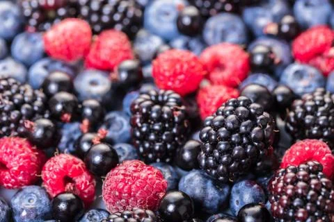 Texture of assorted fresh berries Stock Photos
