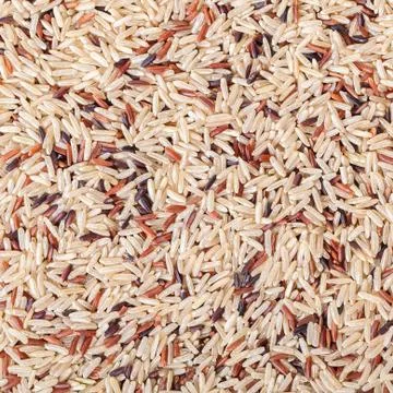 Texture assorted rice close-up Stock Photos