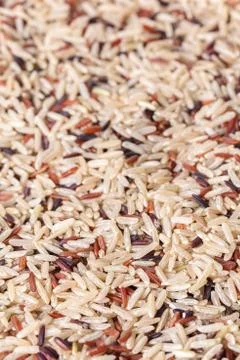 Texture assorted rice close-up Stock Photos