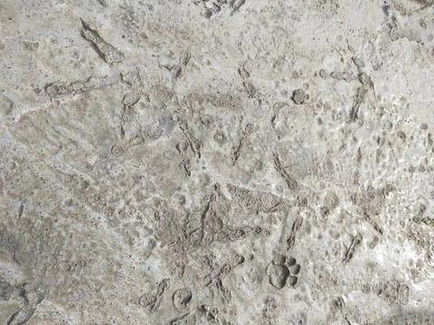 Texture of the back wall of the house Stock Photos