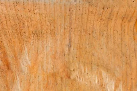 Texture background of backlight old brown Leaf Stock Photos