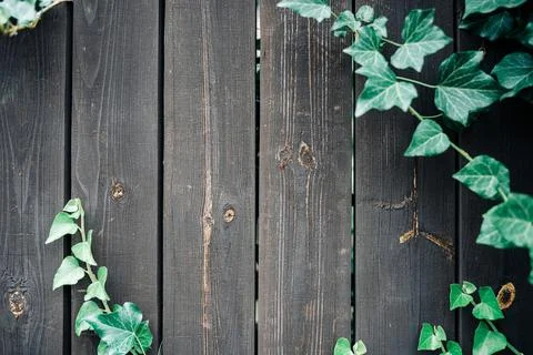 Texture background black. Dark grain panel board table with copy space. Old f Foto stock