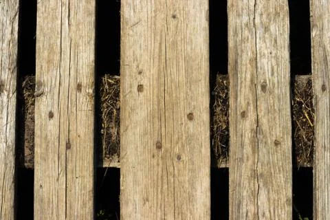 Texture background of brown boards close-up. Old boards. Stock Photos