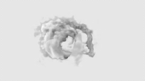 Texture background cloud and smoke on transparent background Stock-Footage 296221322