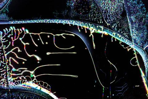 Texture background cracks on the broken screen of a liquid crystal display... Stock Photos