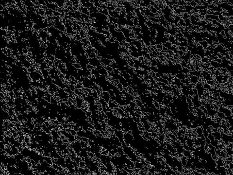 Texture background with dots Illustrazione stock