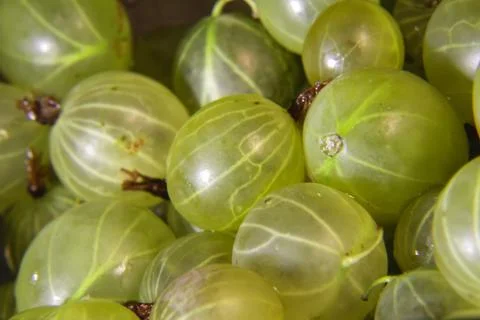 Texture background of fresh green berries Stock Photos