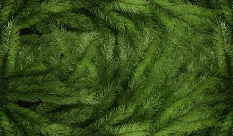 Texture background fresh green fluffy Christmas green spruce branches Stock Illustration