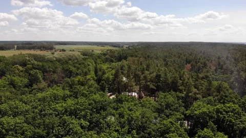 Texture Background of Great Green Forest View from Above Stock Footage 300672515