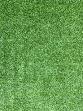 Texture background of green grass Stock Photos