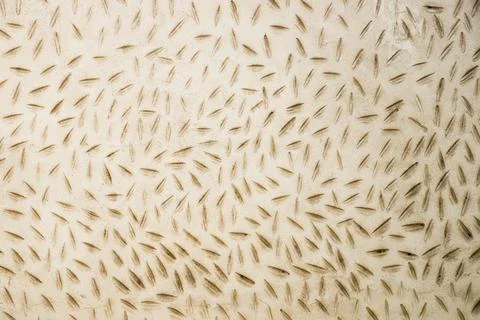 Texture, background. Handmade wall with pattern.Portugal Stock Photos