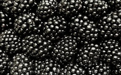 Texture background from a large number of blackberries. Natural berry background Stock Photos