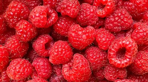 Texture background from a large number of raspberries. Stock Photos