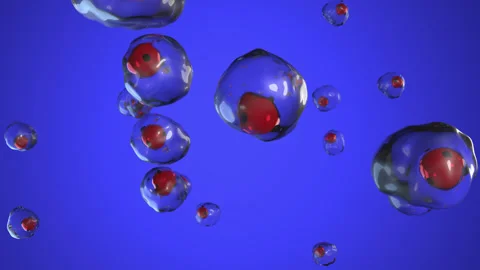 Texture, background movement of viruses or cells in the blood. Video stock 295799240