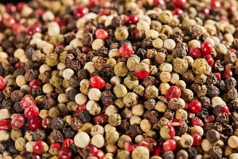 Texture background Multi-colored peppercorns on black plate Stock Photos