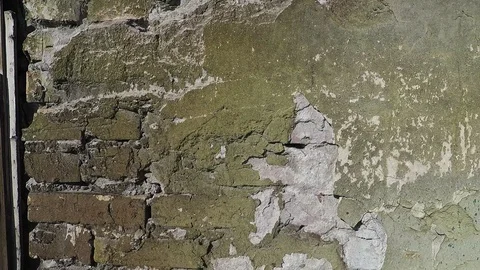 Texture background old green wall Stock Footage 112803437