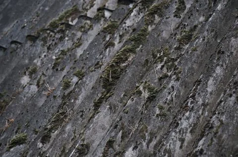 Texture background. Old slate covered with islands of green moss. Stock Photos