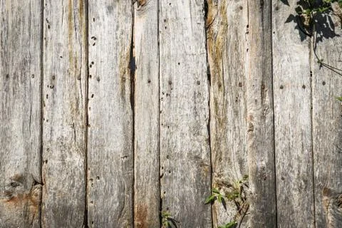 Texture background Old wood time worn rustic Stock Photos