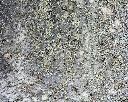 Texture background overlay Stock Photos