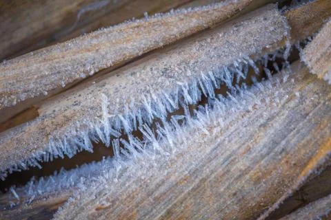 Texture background, pattern. Ice crystals detail on the sprigs of grass. Deposit Stock Photos