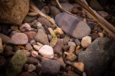 Texture background of pebbles from the beach Stock Photos