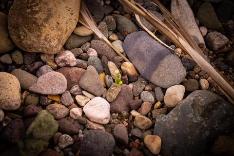 Texture background of pebbles from the beach Stock Photos