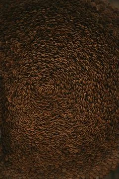 Texture background of petals of cones Stock Photos