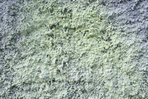 Texture Background Stock Photos